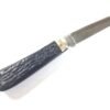 Sheffield made Real Lamb Foot Pocket Knife. (35584) - Image 3