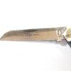 Sheffield made Real Lamb Foot Pocket Knife. (35584) - Image 2