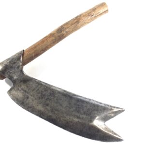 Hefty named French Flag Froe. (37552)