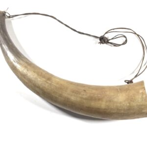 Vintage 20” Ox Blowing Horn. (39090)